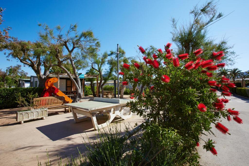 Apartaments Terraza - Salata Mar Roses Luaran gambar